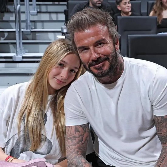 继承母亲衣钵的小七