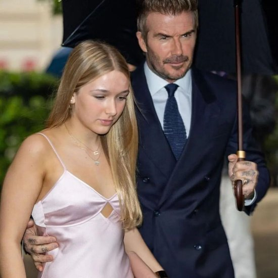 继承母亲衣钵的小七