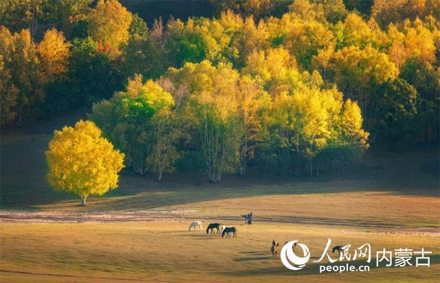 北京至内蒙古10条精品旅游线路发布