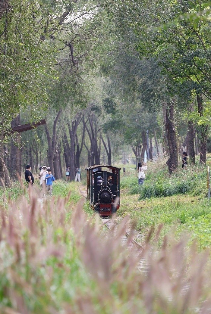 佳能EOS R7实拍体验