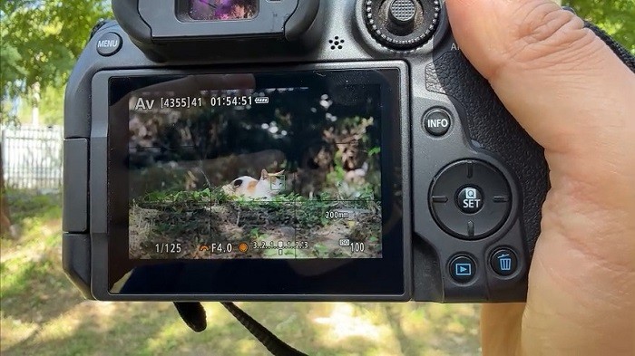 佳能EOS R7实拍体验