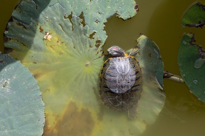 佳能EOS R7实拍体验