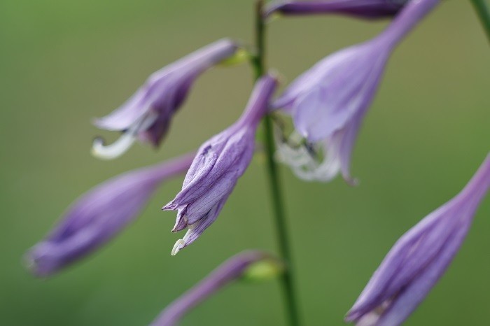 佳能EOS R7实拍体验