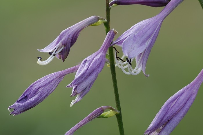 佳能EOS R7实拍体验