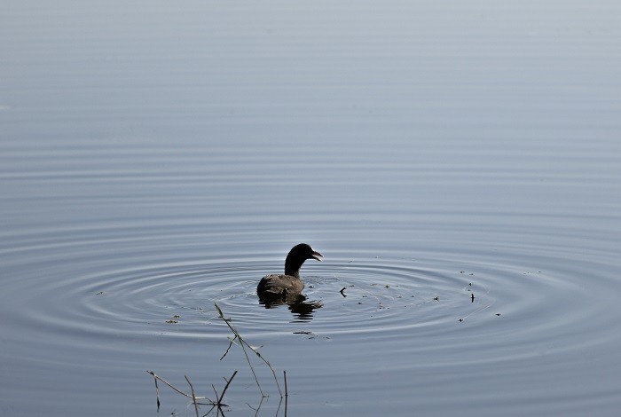 佳能EOS R7实拍体验