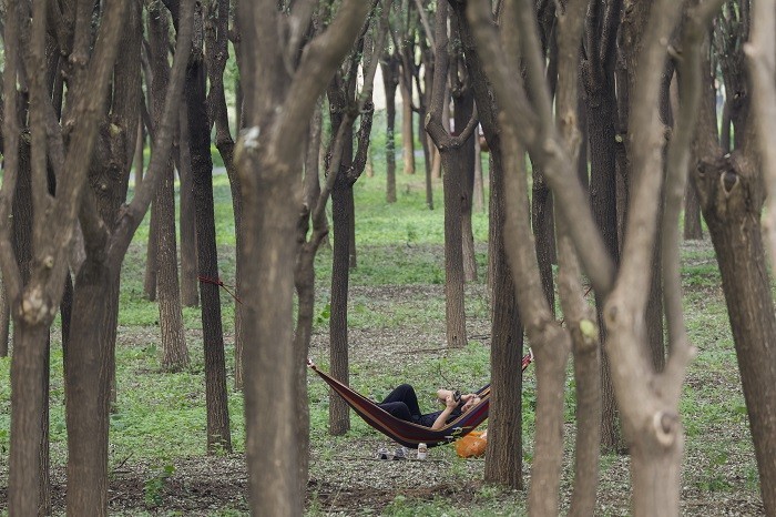 佳能EOS R7实拍体验