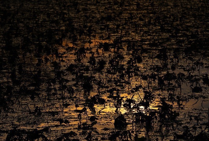 佳能EOS R7实拍体验