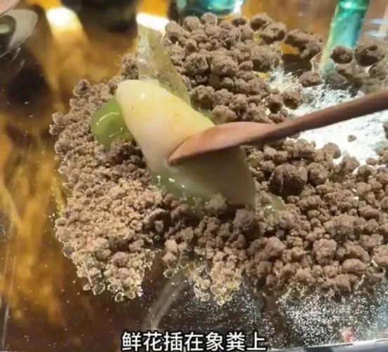给顾客吃大象粪的“云南菜”