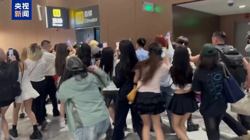 起底“饭圈”追星乱象