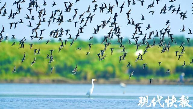 宝藏小城成游客“新宠”