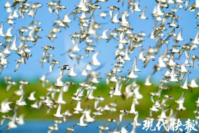 宝藏小城成游客“新宠”