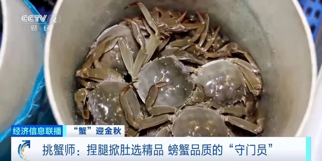 “挑蟹师”职业近期缺口大