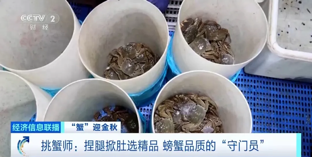 “挑蟹师”职业近期缺口大