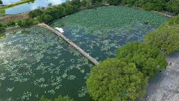 岭南古村凭“混搭”出圈