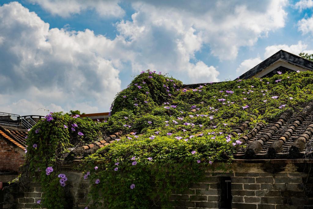 岭南古村凭“混搭”出圈