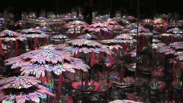 岭南古村凭“混搭”出圈