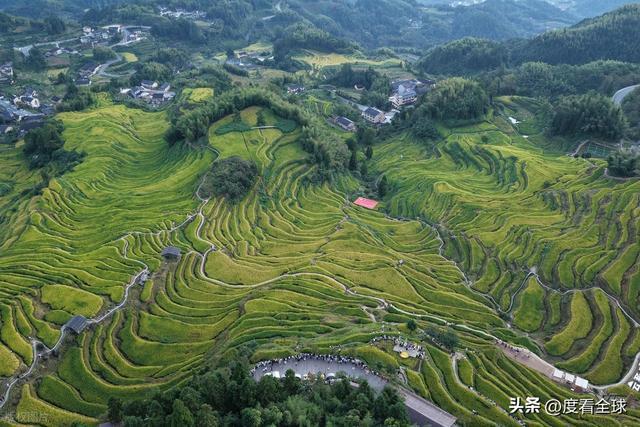 云端上的千年史诗：云和梯田，藏在浙西南的大地年轮！ ...