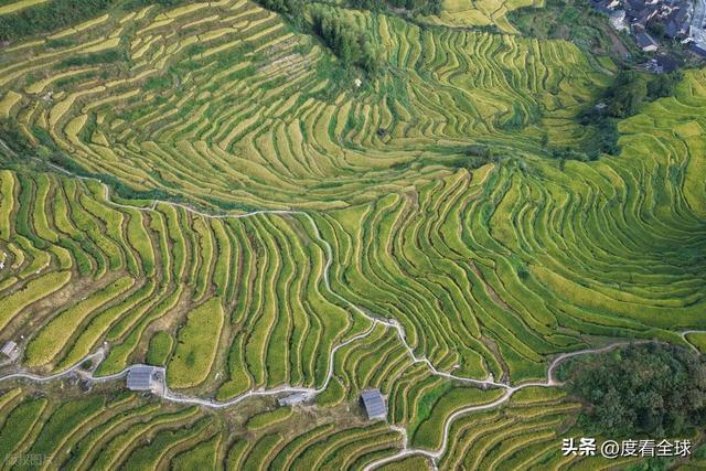 云端上的千年史诗：云和梯田，藏在浙西南的大地年轮！ ...