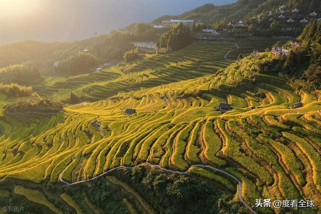 云端上的千年史诗：云和梯田，藏在浙西南的大地年轮！ ...