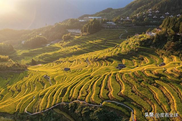 云端上的千年史诗：云和梯田，藏在浙西南的大地年轮！ ...