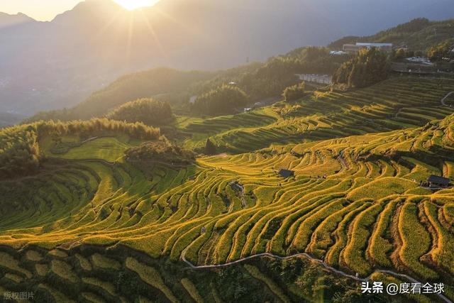 云端上的千年史诗：云和梯田，藏在浙西南的大地年轮！ ...