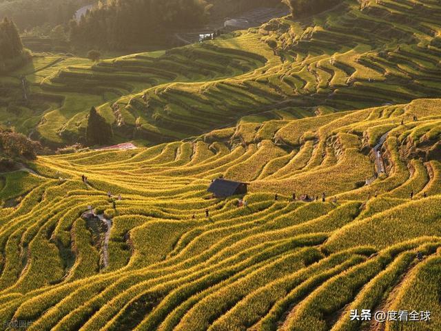 云端上的千年史诗：云和梯田，藏在浙西南的大地年轮！ ...