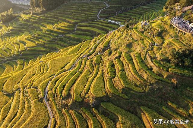 云端上的千年史诗：云和梯田，藏在浙西南的大地年轮！ ...