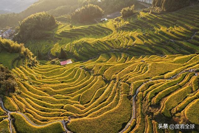 云端上的千年史诗：云和梯田，藏在浙西南的大地年轮！ ...