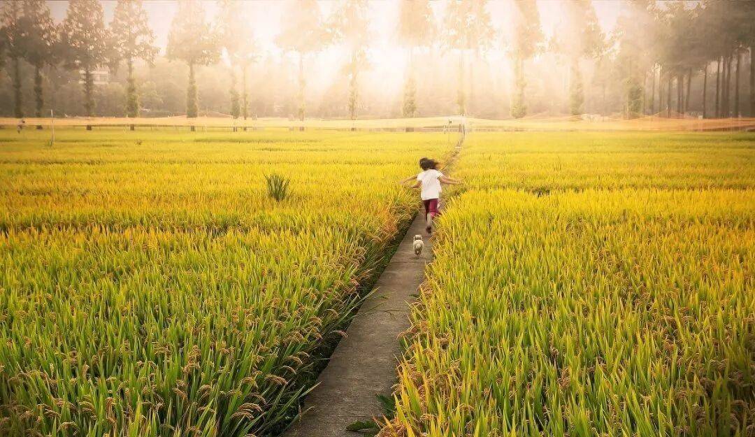 早上起床后，尽量少吃这5类早餐