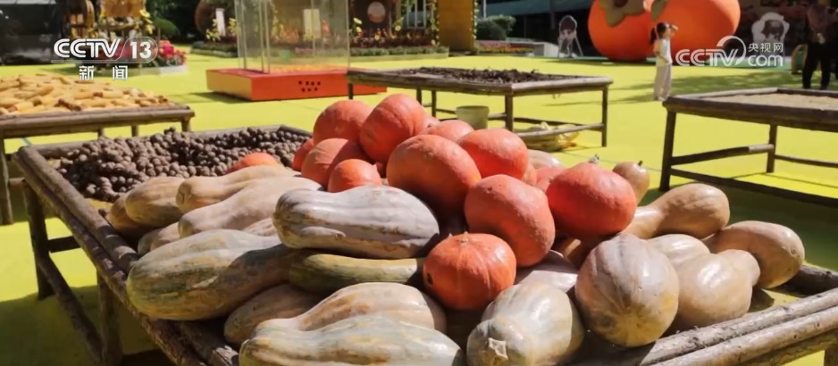 秋日里的中国斑斓如画