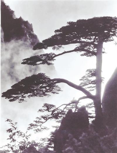 从地方山水与文化，看到“何以中国”