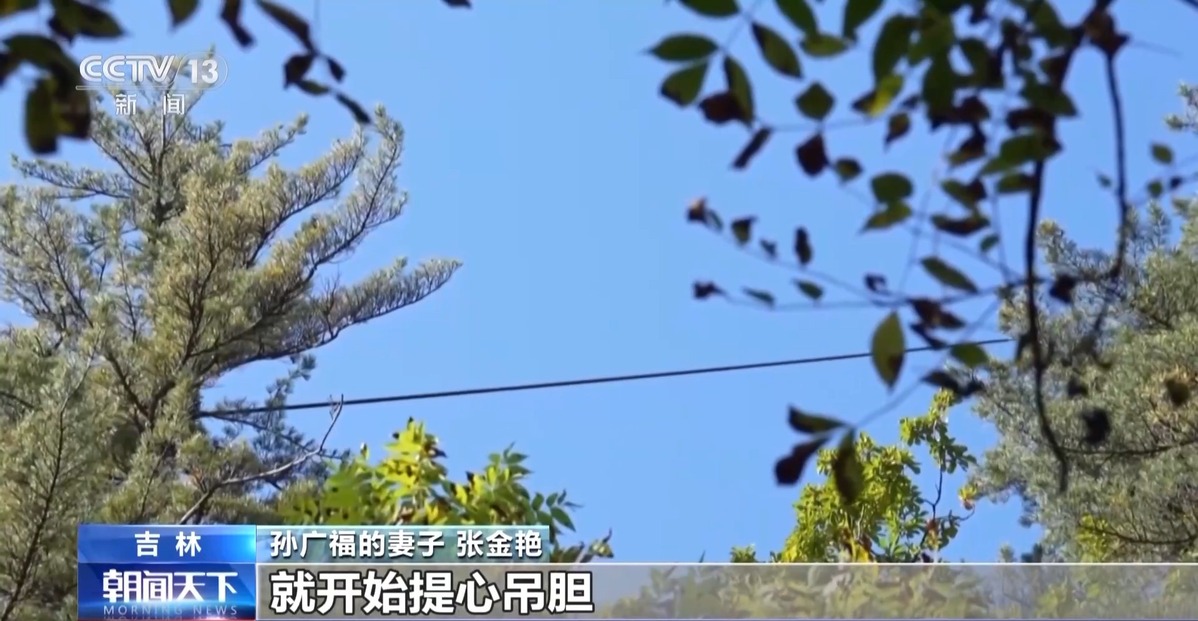 全球松子产业之都！