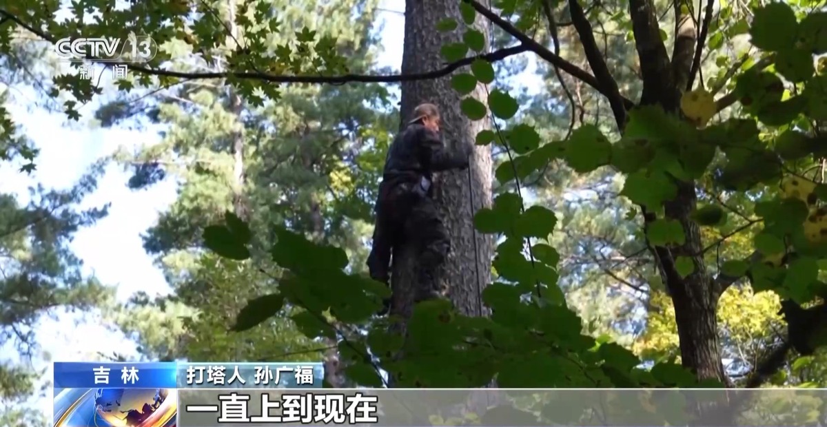 全球松子产业之都！