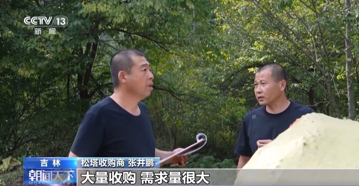 全球松子产业之都！