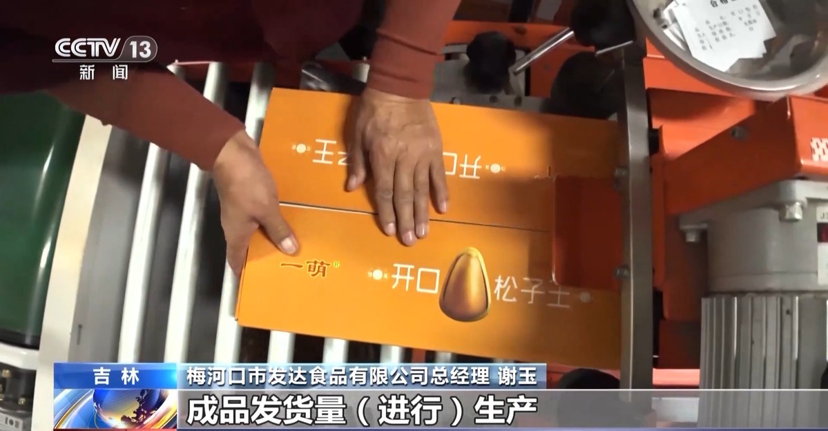 全球松子产业之都！