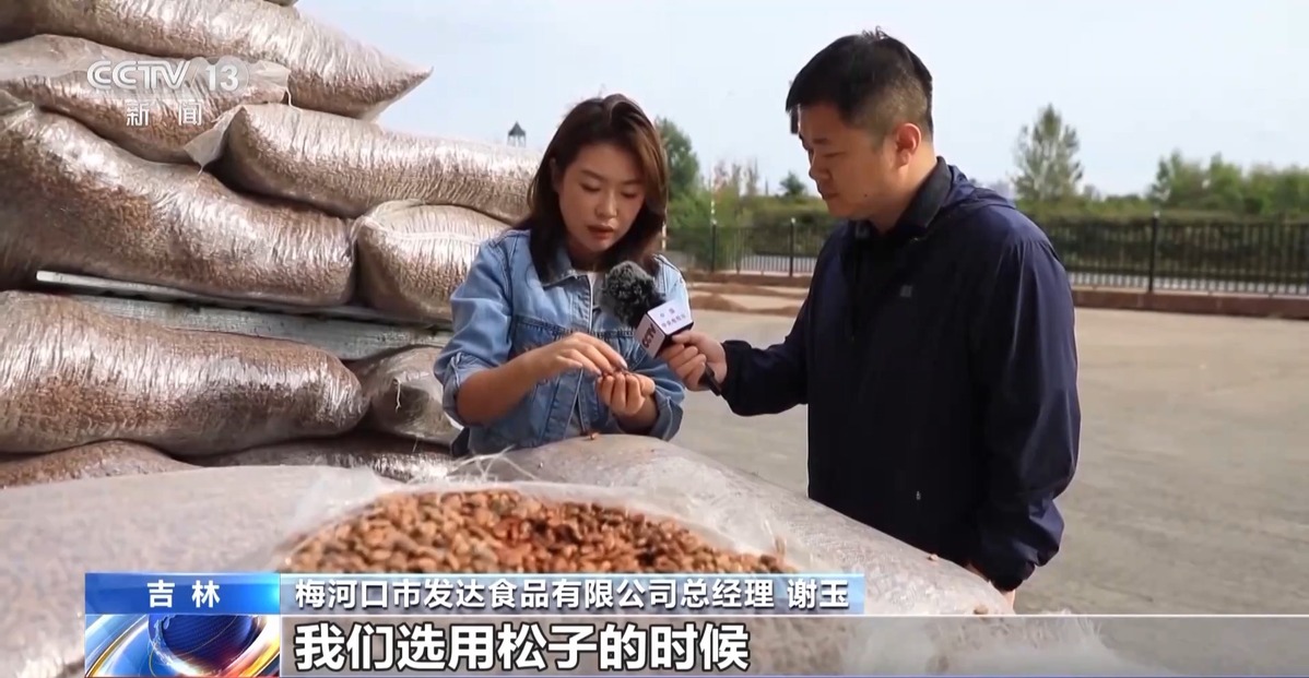 全球松子产业之都！