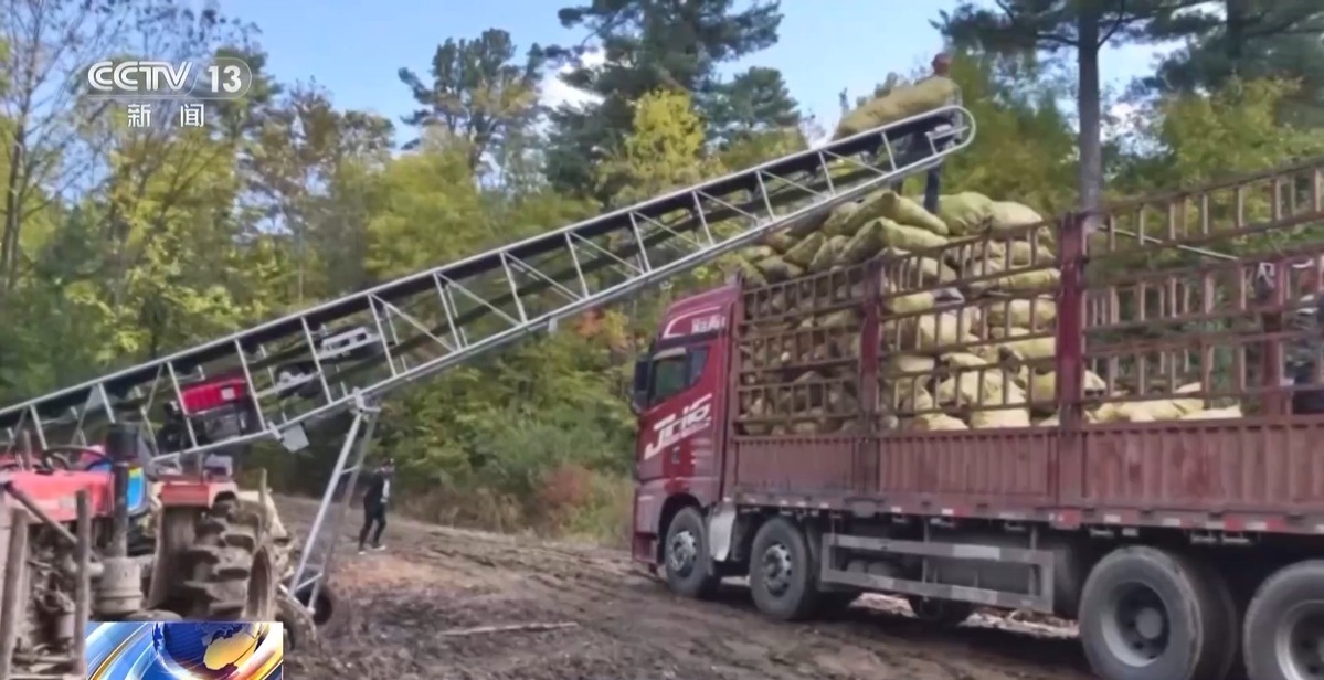 全球松子产业之都！