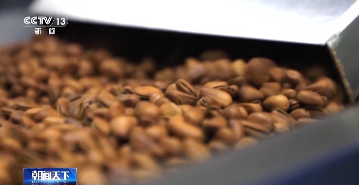 全球松子产业之都！