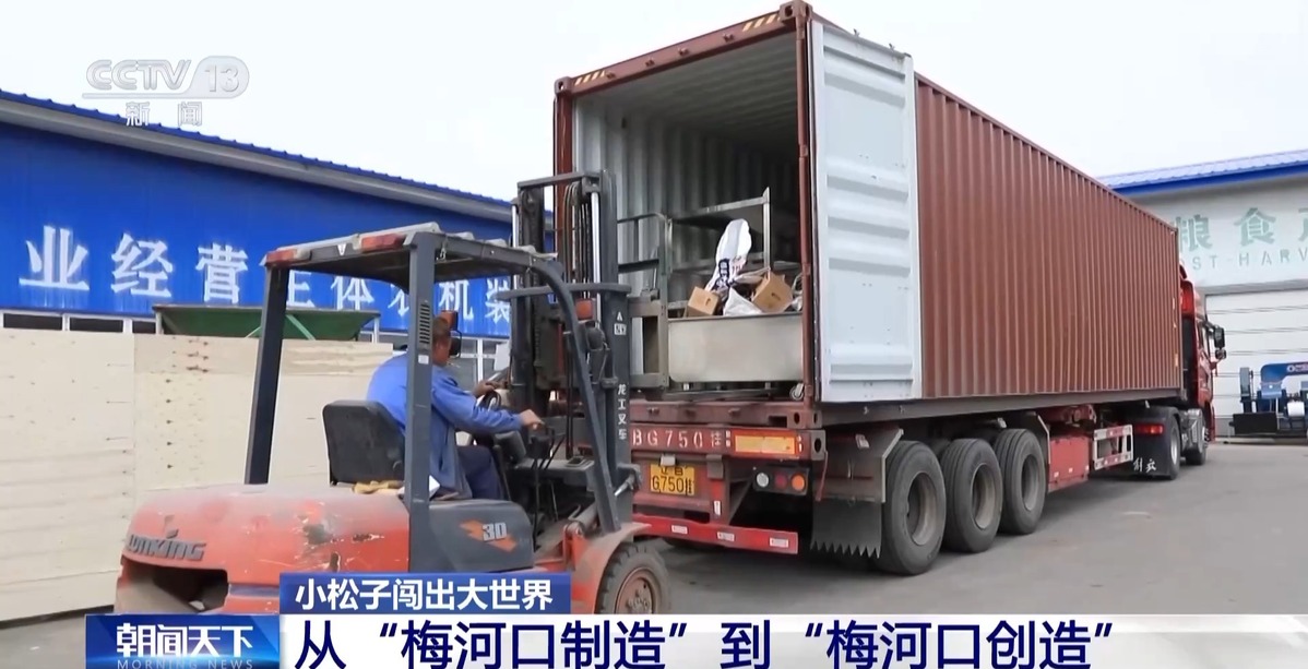 全球松子产业之都！