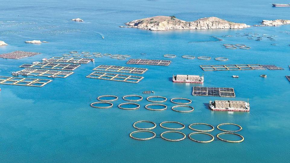 怎样经略海洋？福建打了个样儿！