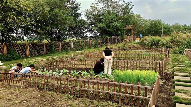 原乡里·东篱亲子农场开启都市田园新体验