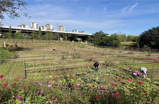 原乡里·东篱亲子农场开启都市田园新体验