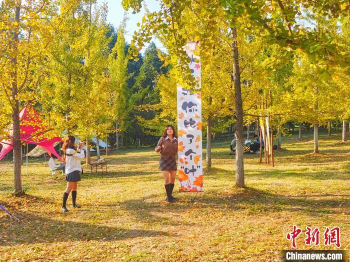 寒露过后，饮食养生如何兼顾防燥与御寒？