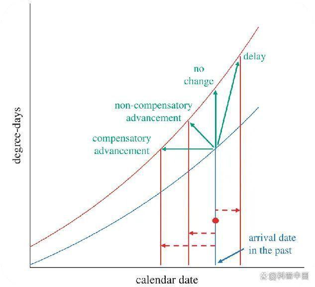 大量燕子滞留，不少冻死街头！