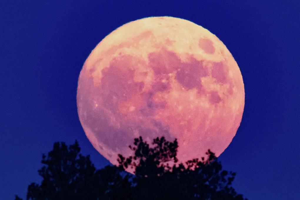 最大的“超级月亮”即将“上线”