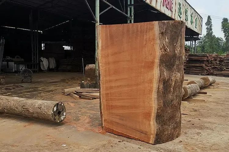 告别“毒菜板”