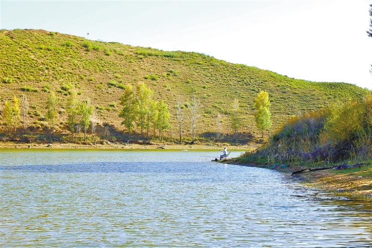 鄂尔多斯：大沟湾披上金色盛装