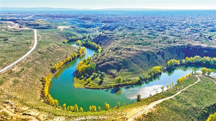 鄂尔多斯：大沟湾披上金色盛装