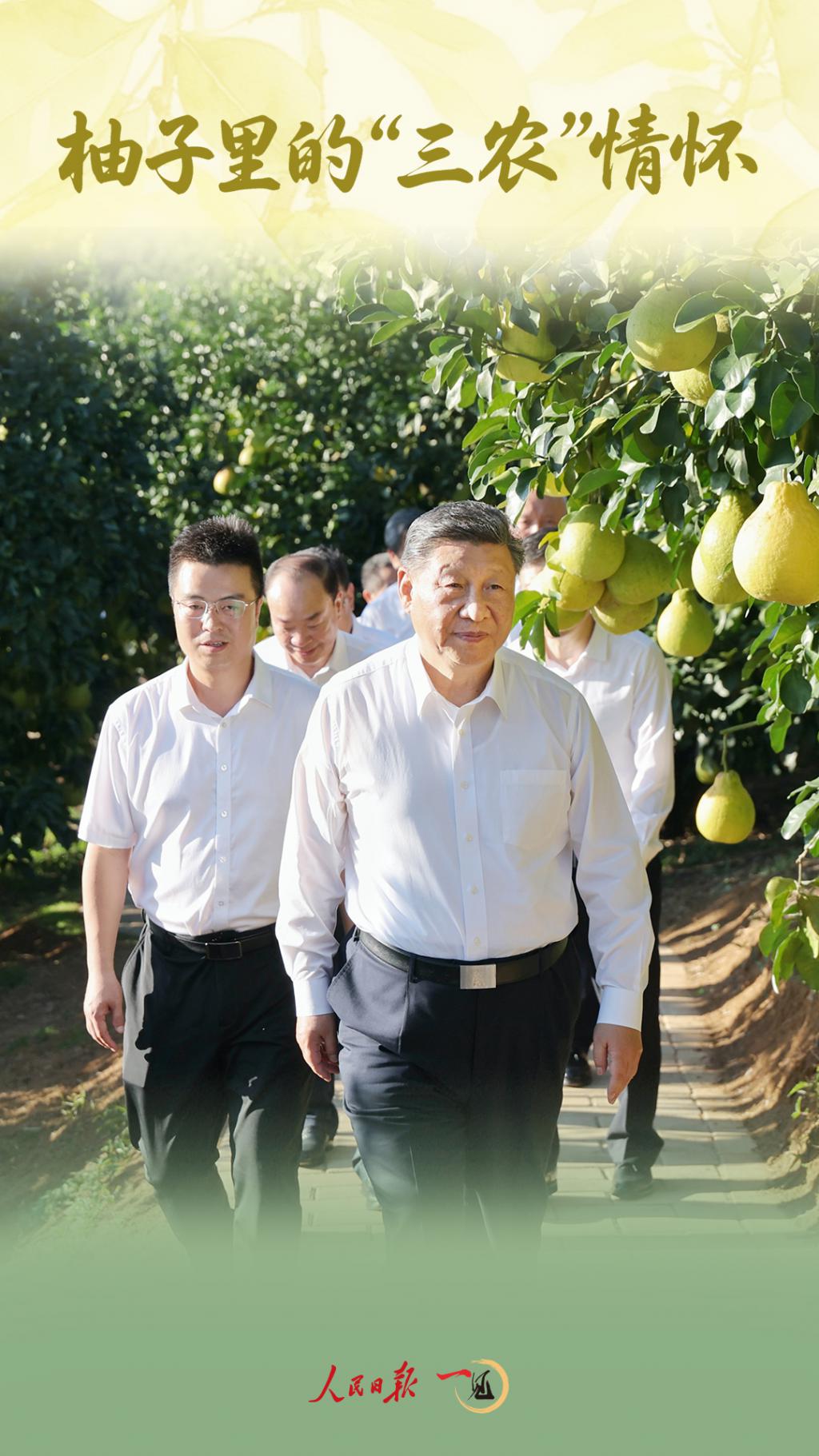 一见 · 柚子里的“三农”情怀