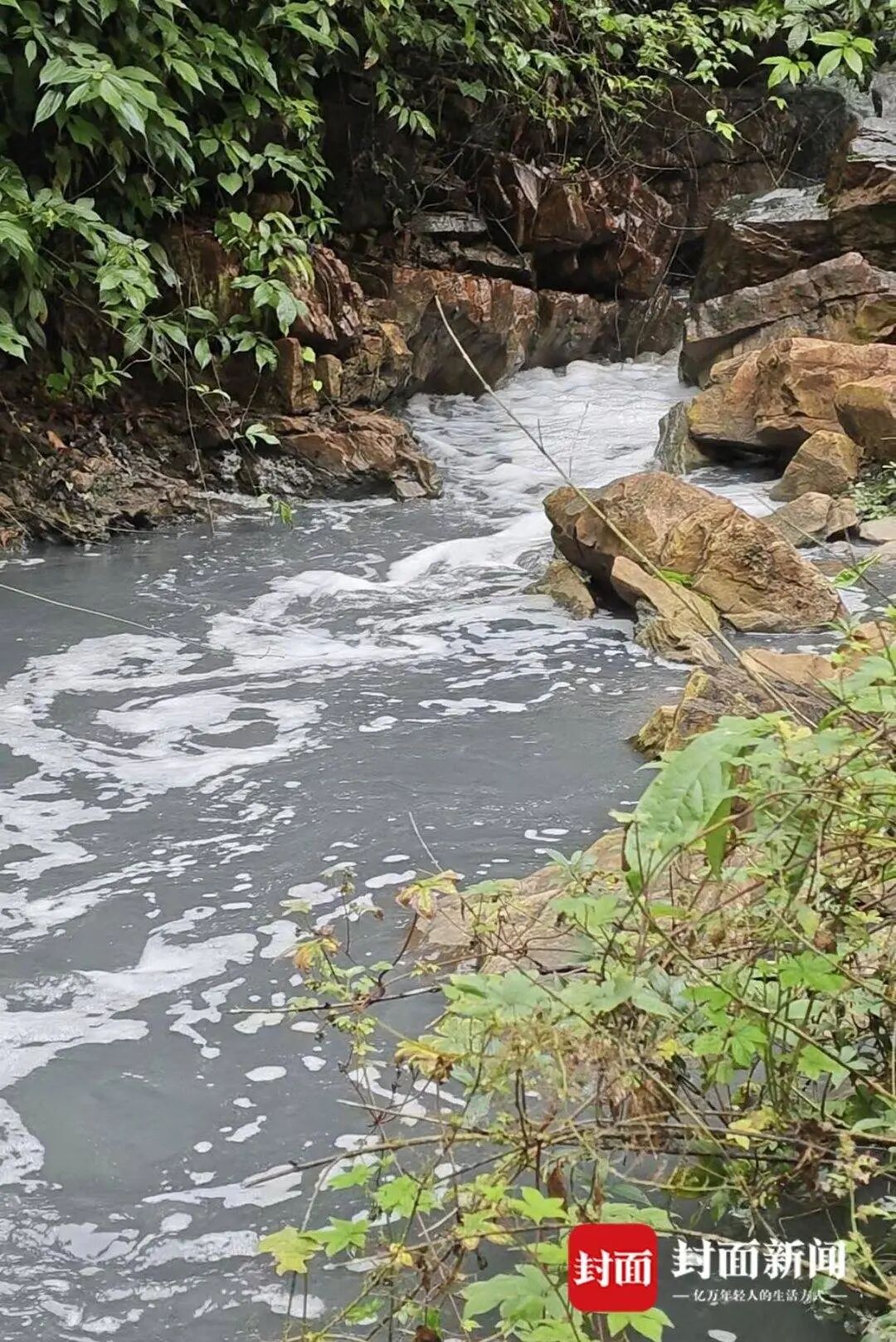 重庆南川通报孝子河污染情况：已确定污染源，将制定整治方案